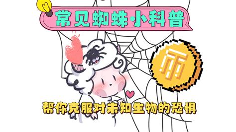 家有小蜘蛛|【小杨科普栏目】家中常见的蜘蛛都是什么？有没有毒？叫什么名。